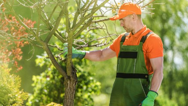 Is it Possible to Make a Career Out of Seasonal Work?